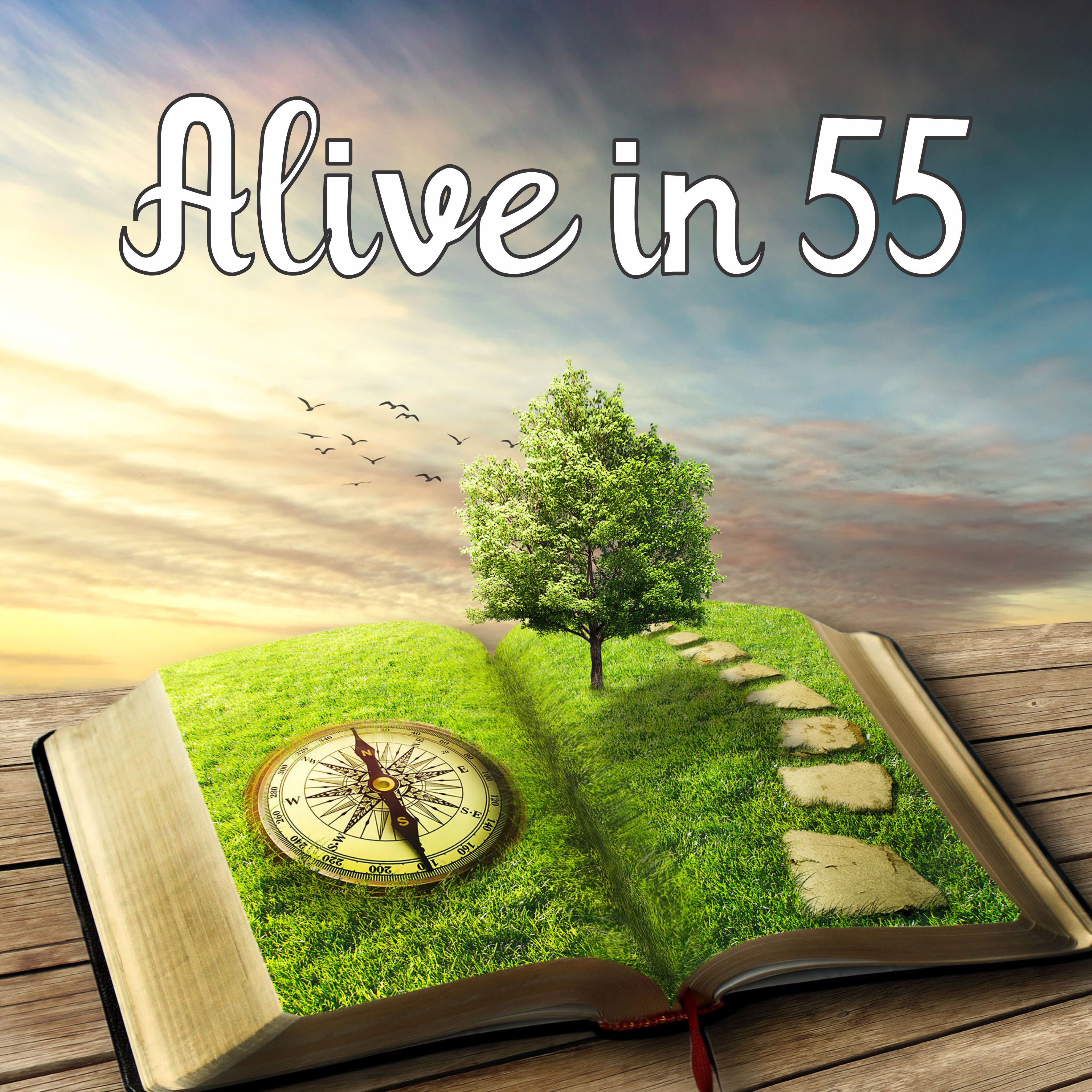 Alive in 55 square